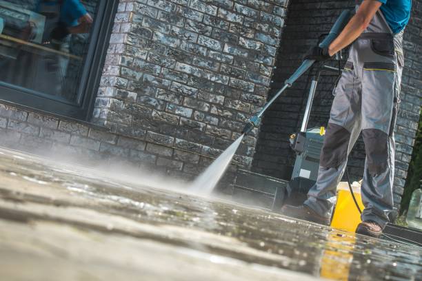 Best Building Exterior Washing  in Westland, MI